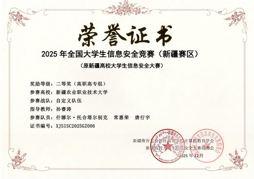 全国大学生信息安全竞赛新疆赛区二等奖证书